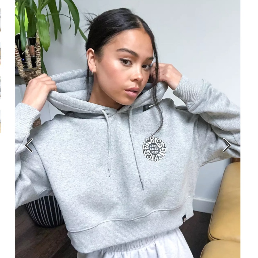 Dickies Cropped Hoodie in Gray